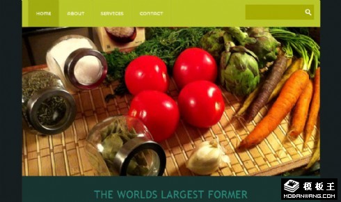 农业生产信息网页模板