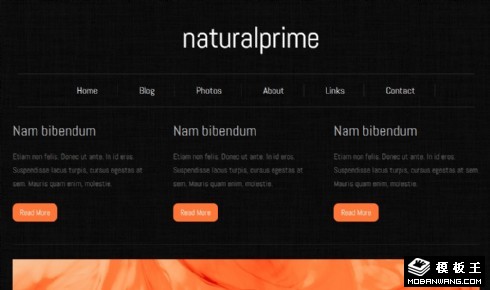 黑色天然精华网页模板