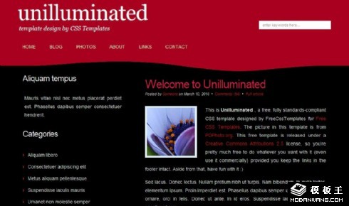 红黑波浪BLOG网页模板