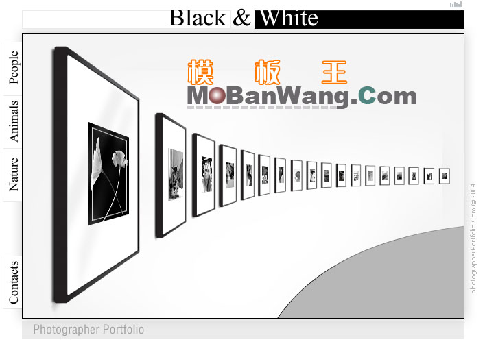 图片展览厅_欧美网页模板