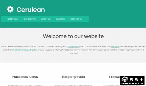 绿色工具导航网页模板