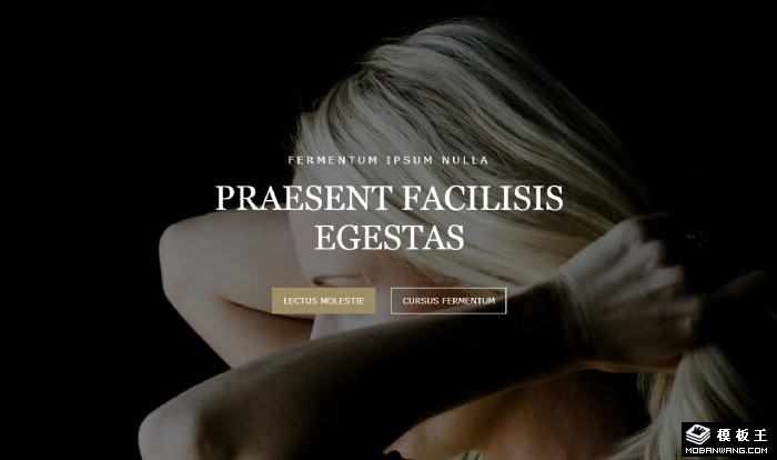 唯美信息展示网页模板