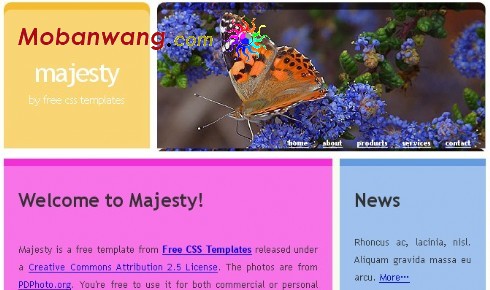华丽蝴蝶主题网页模板