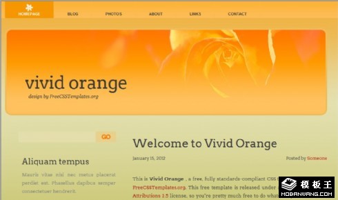 动感橙色信息网页模板