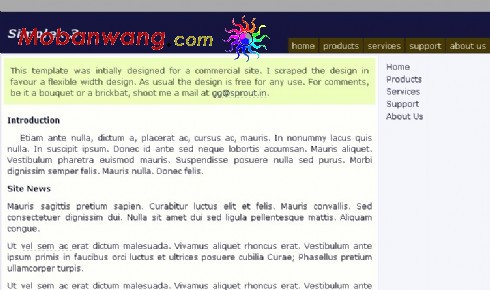 深蓝导航介绍网页模板