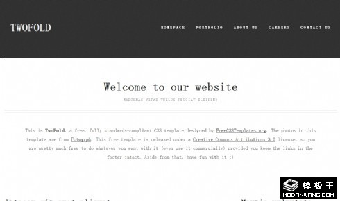 灰白双重信息网页模板