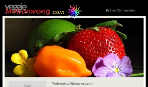 素食主义信息网页模板