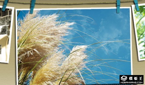 个人档案日记网页模板