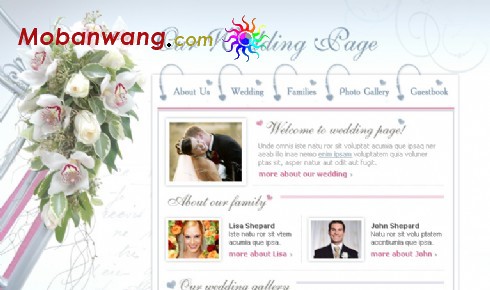 结婚纪念网站模版