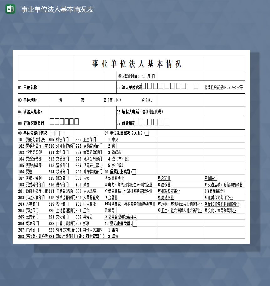 事业单位法人基本情况表Excel模板