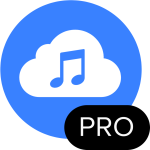 4K YouTube to MP3 Pro v5.6.4 一键将YouTube转换为MP3