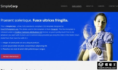 简约股份公司动态网页模板