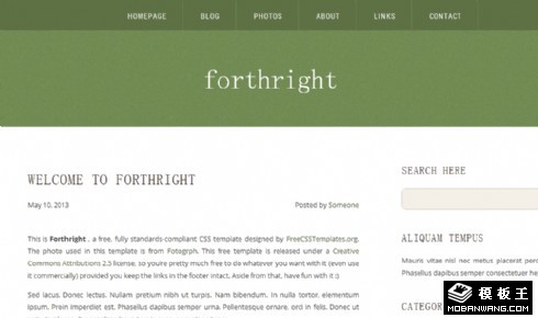 军绿色直率简洁blog网页模板