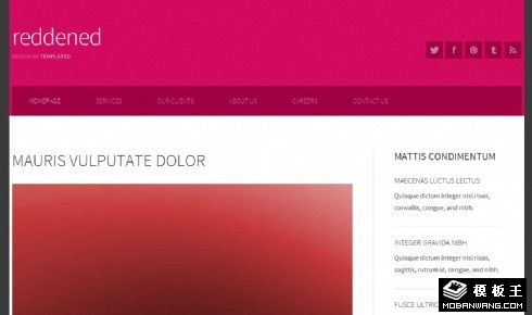 紫红二列信息网页模板