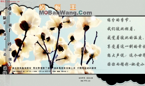 个人主页网站模板