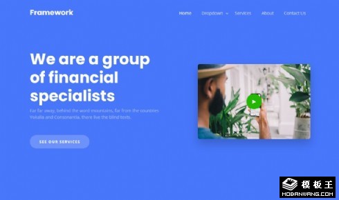 财务业务咨询响应式网页模板