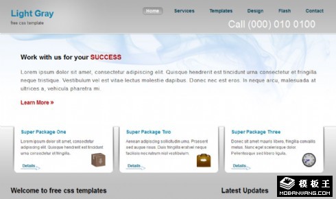 浅灰简单信息动态网页模板