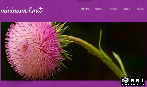 紫色简洁日志网页模板