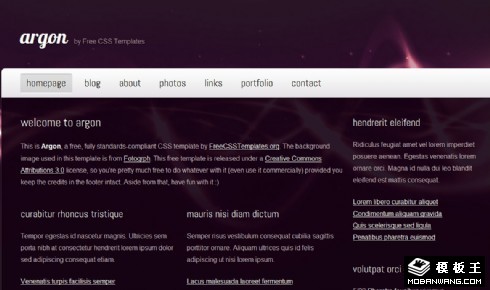 紫色梦幻企业信息网页模板