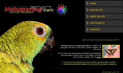 野生动物保护机构网页模板