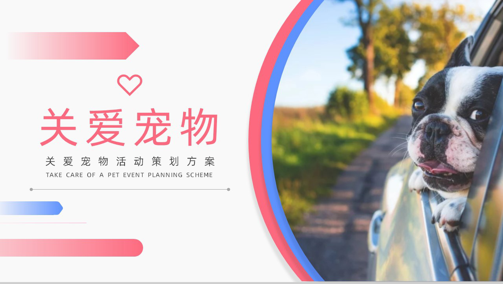 关爱宠物活动策划方案PPT模板