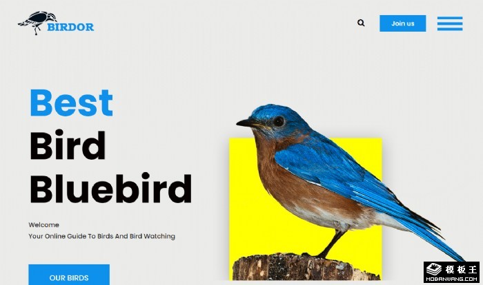 珍稀鸟类研究机构网页模板