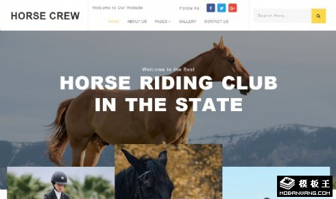 马术俱乐部动态响应式网页模板