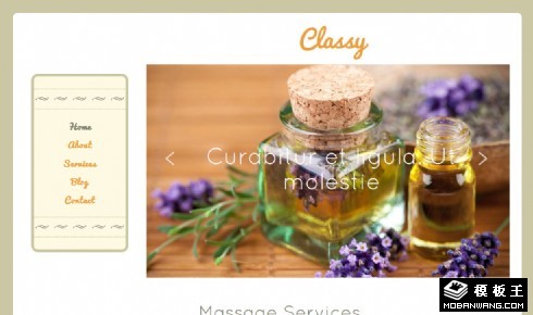 水疗SPA响应式网页模板