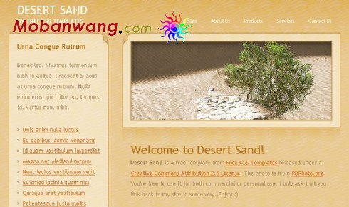 沙漠风格信息网页模板