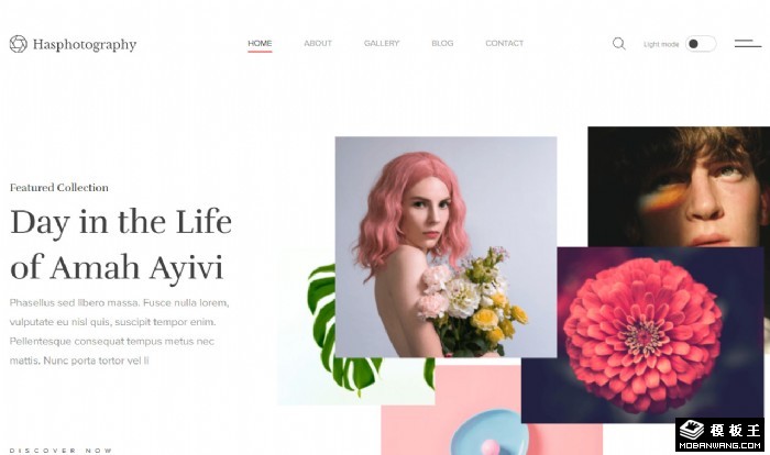 精选图库作品展示网站模板