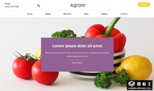 现代果蔬农业响应式网页模板