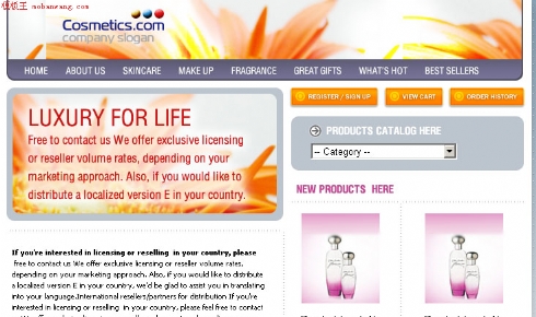 欧美生活综合资讯网页模板