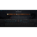 Ample Sound Ample China Dadi v1.0.1 音乐插件Win版