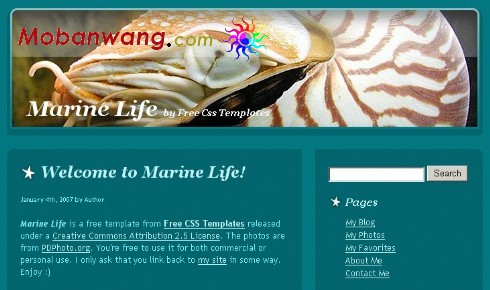 海洋生物主题BLOG网页模板