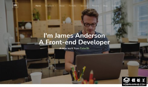 个人项目履历展示响应式网页模板