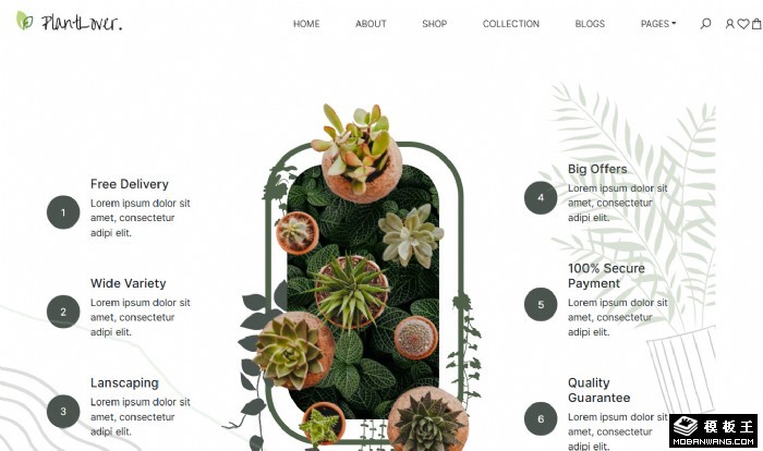 绿植花卉盆栽网站模板