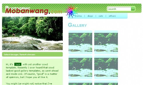 个人摄影照片网页模板