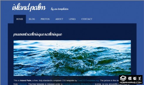 蓝色棕榈岛旅游信息网页模板