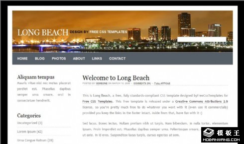 长滩夜景BLOG网页模板