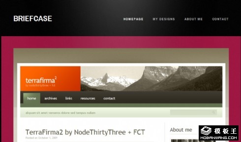 网页设计案例网页模板