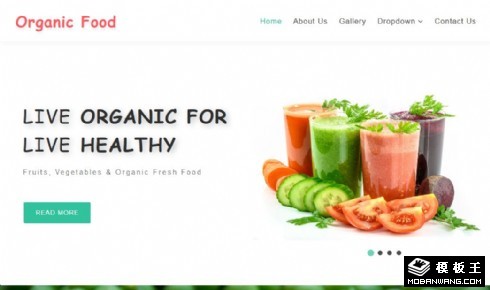 有机果蔬食品展示响应式网站模板