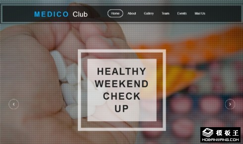 医学研究专家团队响应式网页模板