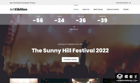 音乐节派对倒计时响应式网页模板