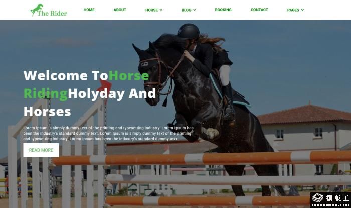 马术马场展示网站模板