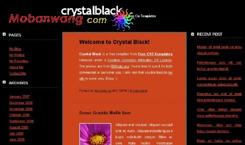 水晶黑色BLOG网页模板