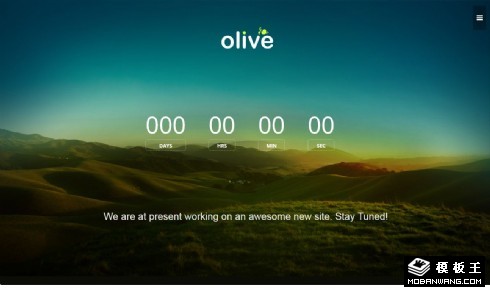 橄榄绿商务倒计时响应式网页模板