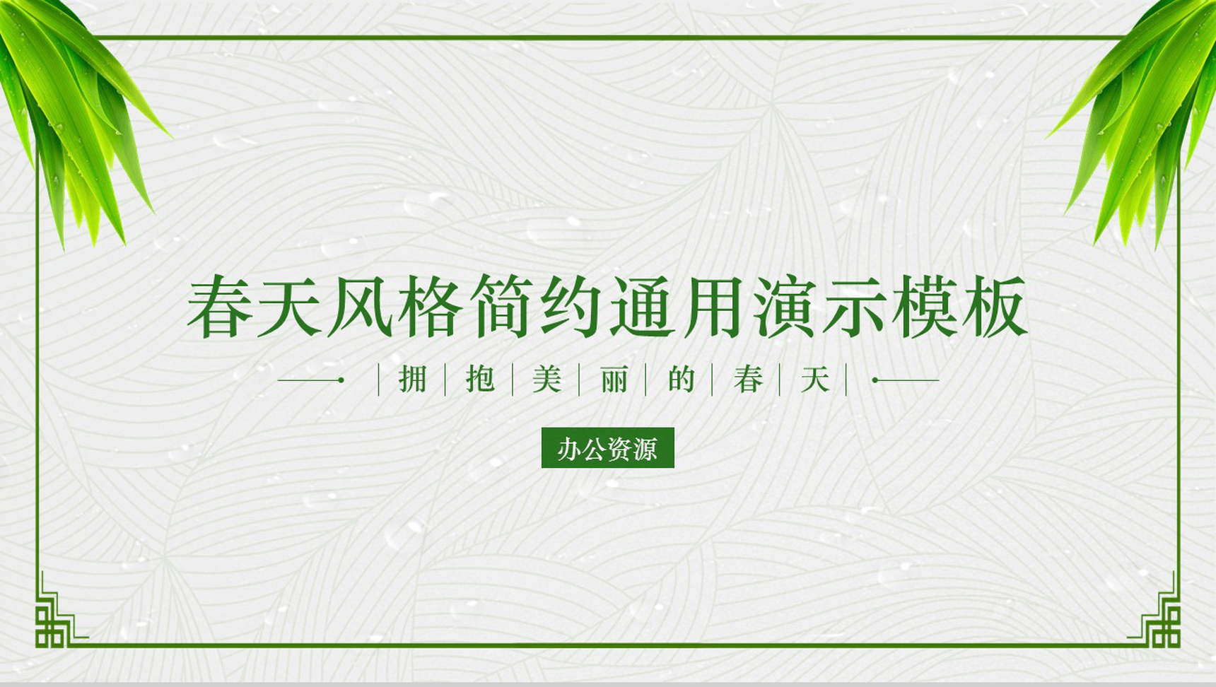 精美春天风格简约绿色宣传PPT模板