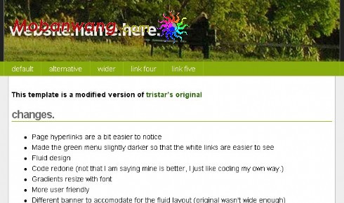 简单绿色信息网页模板