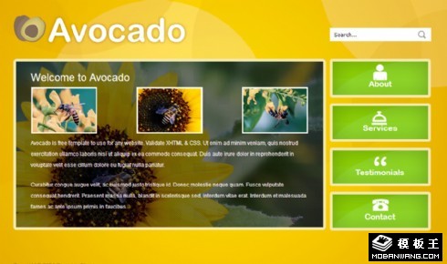 暗黄绿信息动态网页模板