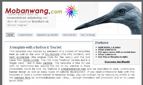 动物保护协会网页模板